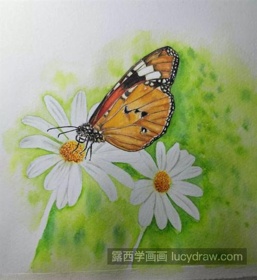蝴蝶鲜花怎么画？如何画水彩蝶恋花？