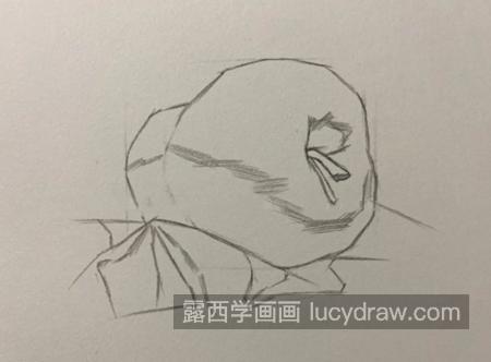 蛇果怎么画？红元帅的素描画法是什么？