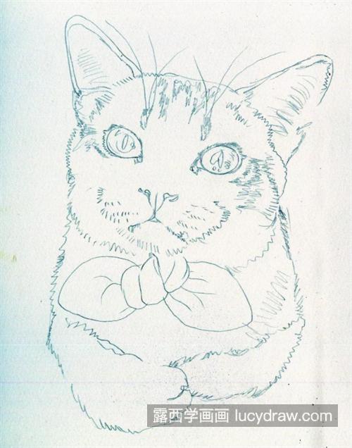 戴蝴蝶结的猫咪怎么画？有哪些绘画步骤？