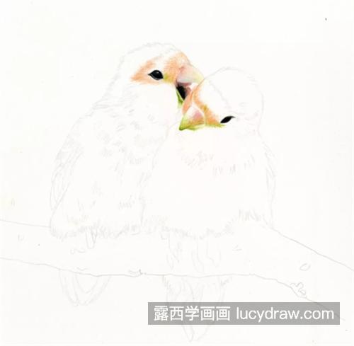 窃窃私语的鹦鹉怎么画？绿鹦鹉的彩铅画法是什么？