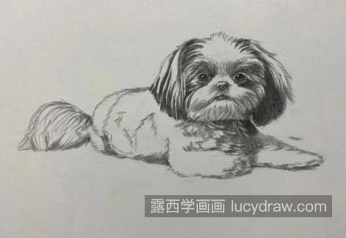 小狗狗怎么画？简单的画法流程是什么？