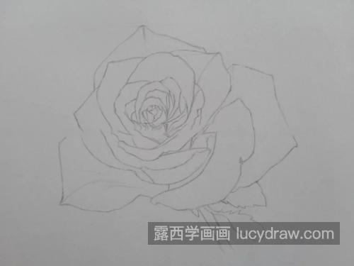 玫瑰花怎么画？如何画花瓣的质感？