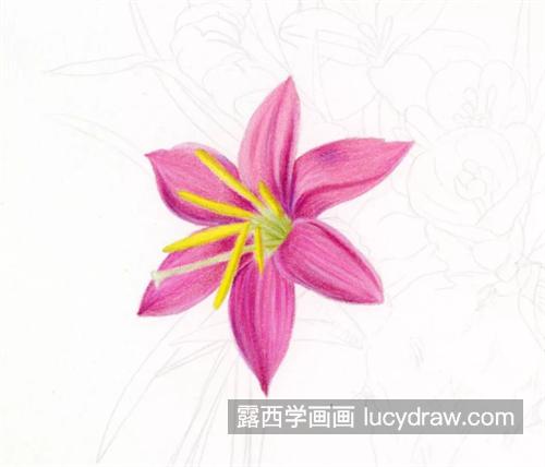 梅花鹿怎么画？具体的彩铅绘画过程是什么？