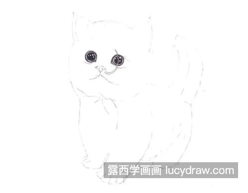 小猫咪怎么画？详细的钢笔绘画过程是什么？