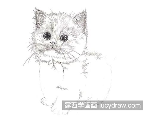 小猫咪怎么画？详细的钢笔绘画过程是什么？