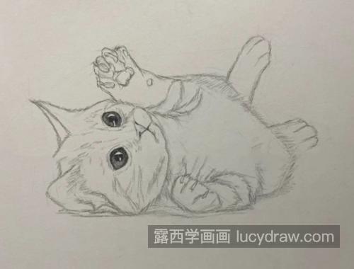 小奶猫怎么画？猫咪的素描步骤有几步？