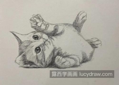 小奶猫怎么画？猫咪的素描步骤有几步？