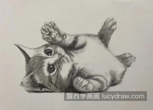 小奶猫怎么画？猫咪的素描步骤有几步？