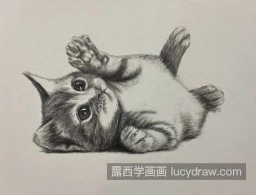 小奶猫怎么画？猫咪的素描步骤有几步？