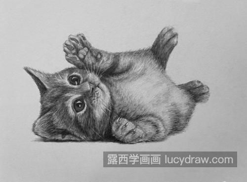 小奶猫怎么画？猫咪的素描步骤有几步？