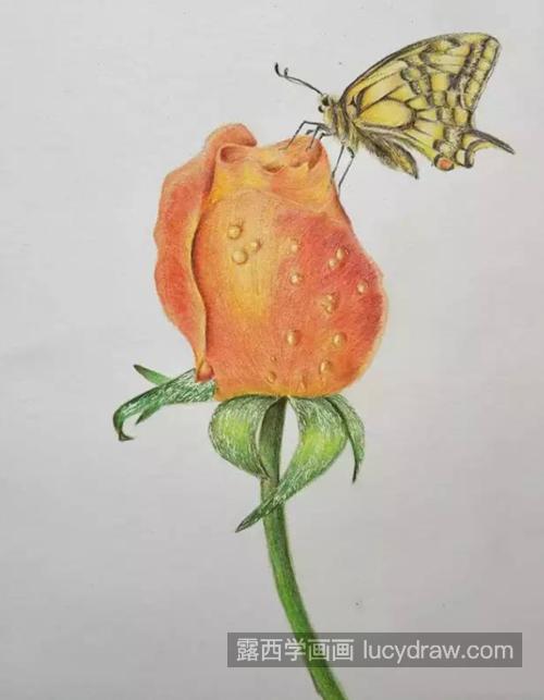 黄玫瑰怎么画？绘画过程是什么？