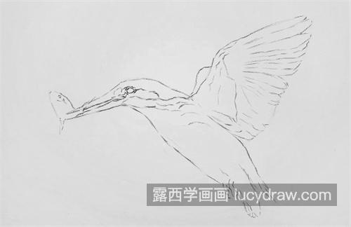 翠鸟怎么画？简单的素描画法是什么？