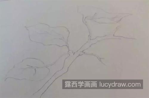 树叶怎么画？详细的绘画过程是什么？