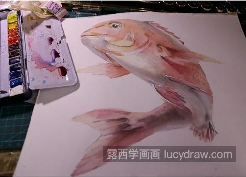鲤鱼怎么画？详细的绘画流程是什么？