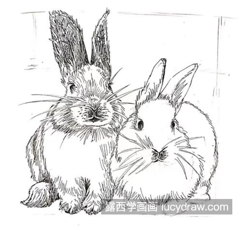 小兔子怎么画？教你画两只兔子