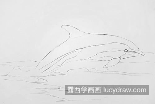 海豚怎么画？鱼兽的图文步骤有哪些？