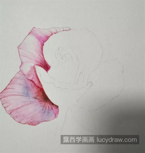 粉玫瑰怎么画？水彩上色过程是什么？