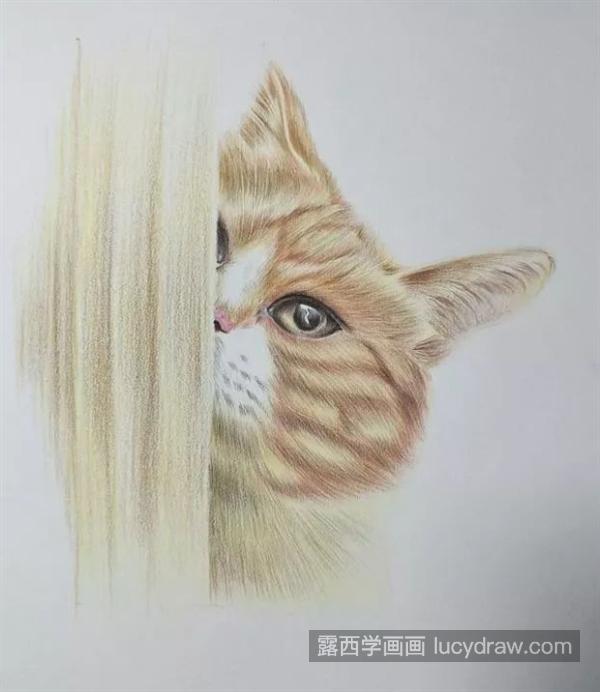 害羞的小猫咪怎么画？绘画难点是什么？