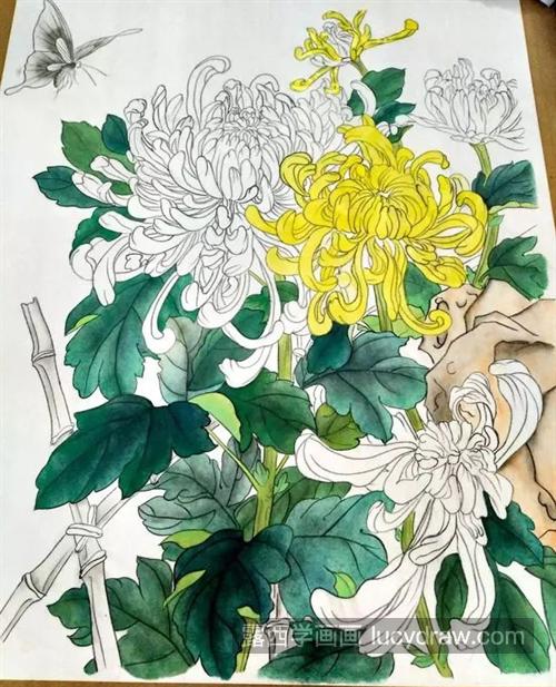 黄白菊怎么画？有哪些绘画步骤？