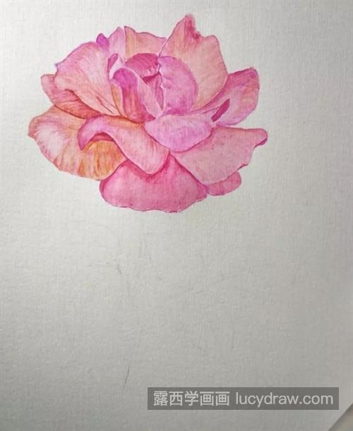 蔷薇花怎么画？有哪些绘画步骤？