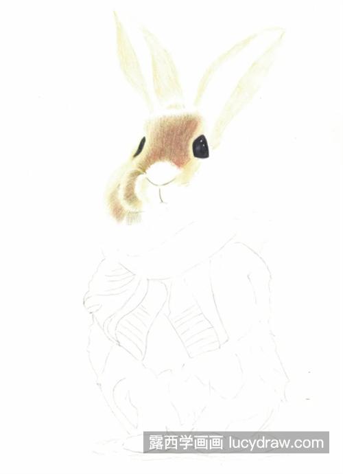 戴围巾的兔子怎么画？有哪些绘画步骤？