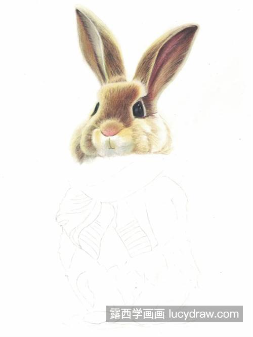 戴围巾的兔子怎么画？有哪些绘画步骤？