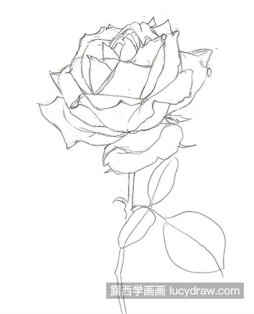 玫瑰花怎么画？四步教你画一枝玫瑰