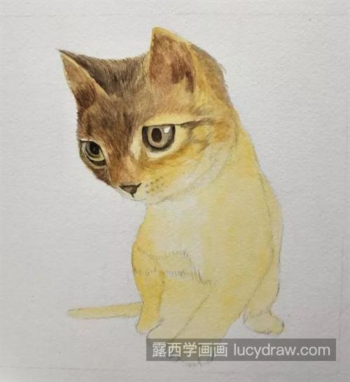 小猫咪怎么画？绘画流程是什么？