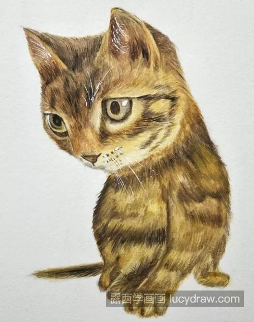 小猫咪怎么画？绘画流程是什么？