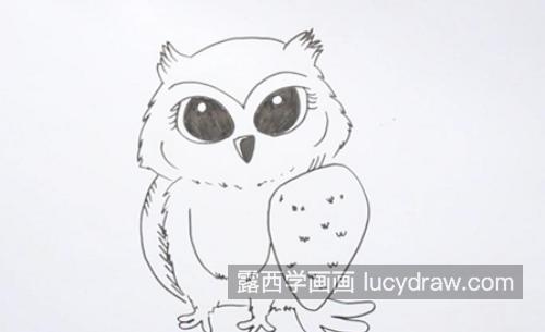 彩色卡通猫头鹰简笔画怎么画 可爱简单猫头鹰简笔画画法步骤