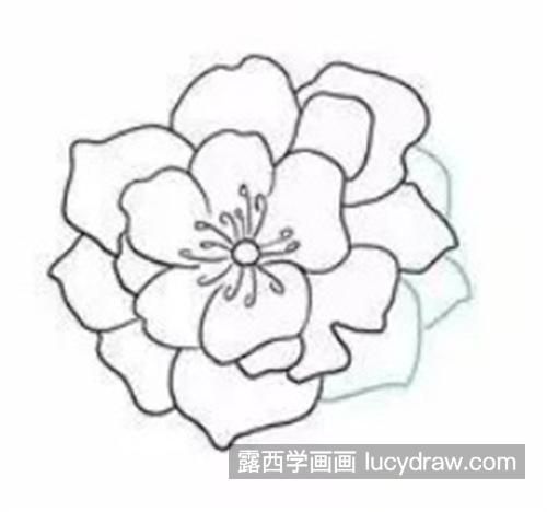 简单又漂亮的花朵怎么画 彩色的花朵简笔画教程