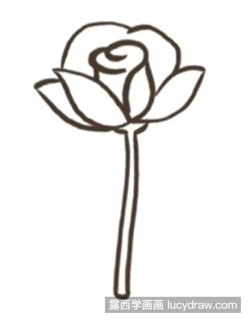 简单又好看的玫瑰花怎么画 漂亮唯美的玫瑰花简笔画教程