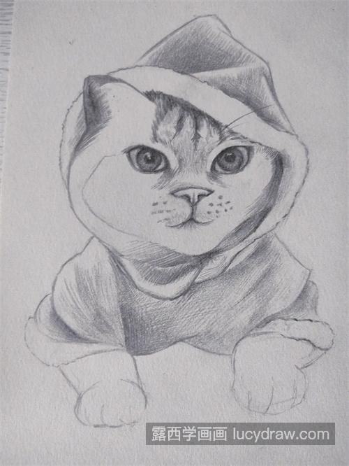 素描猫咪绘画步骤 怎样画出一个好看的猫咪