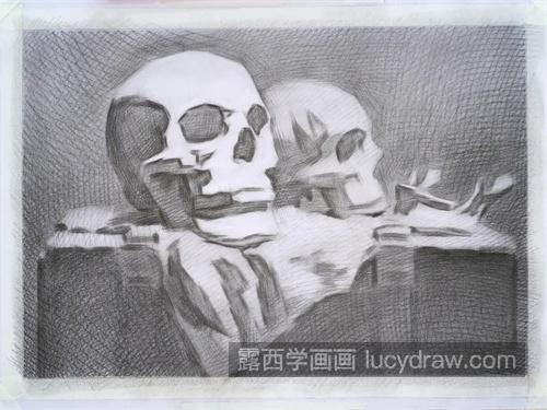 素描头骨场景刻画 静物素描头骨怎样刻画