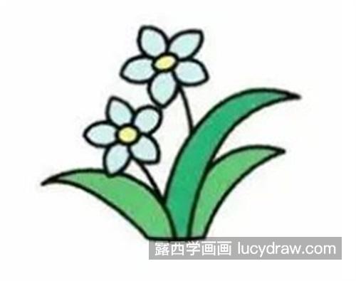 小兰花简笔画怎么画 简单的小兰花简笔画教程