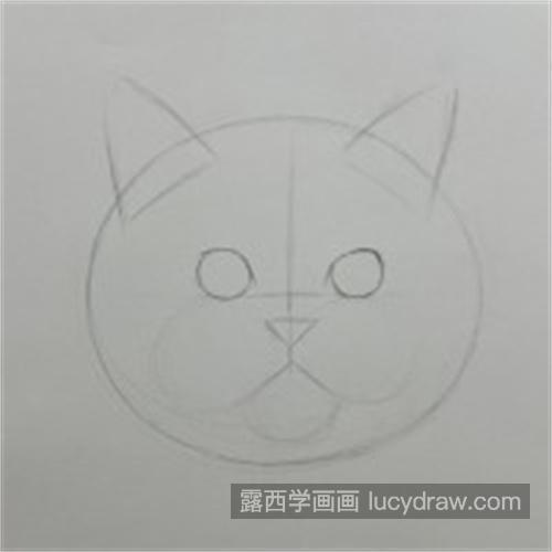 超可爱的素描猫咪注意什么 素描小猫咪图文详细教程