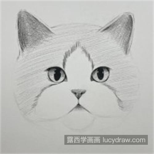 超可爱的素描猫咪注意什么 素描小猫咪图文详细教程