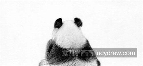 素描大熊猫怎么画 素描大熊猫的步骤带图