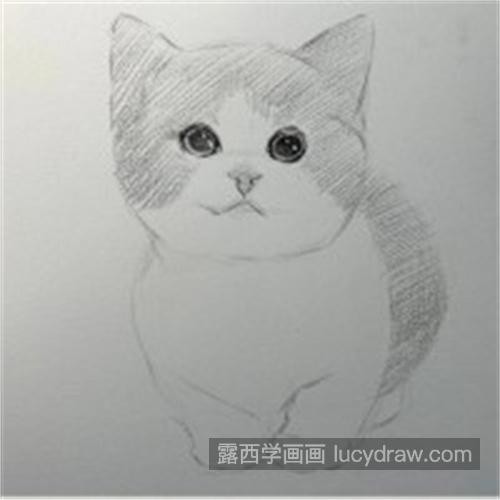 超可爱的猫咪素描入门教程 简单的猫咪素描步骤带图