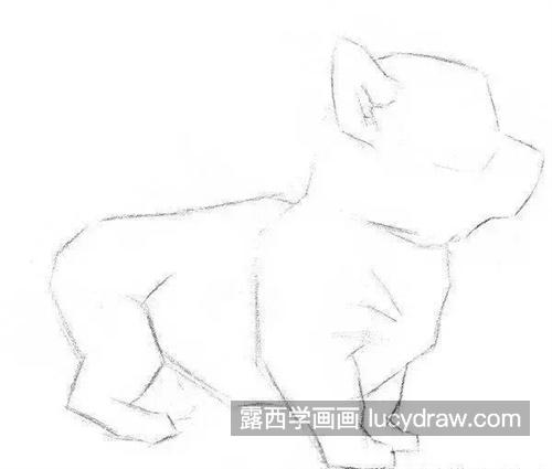 零基础素描小狗教程 新手如何快速画出素描小狗