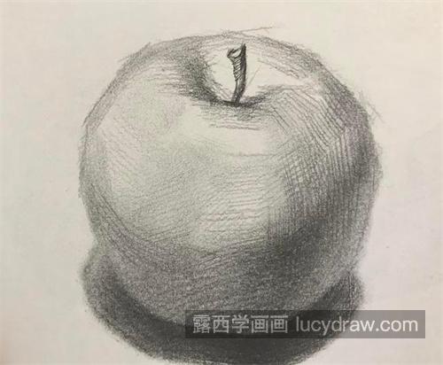 素描苹果的基本画法及步骤 简单的素描苹果绘画教程