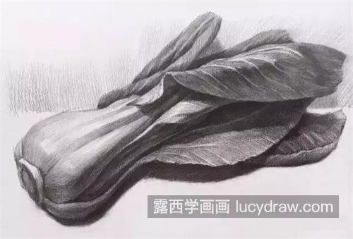 素描入门级教程 素描新手小白需要注意哪些问题