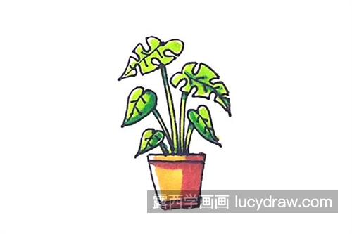 绿植简笔画教程怎么画 简单的绿植简笔画带颜色