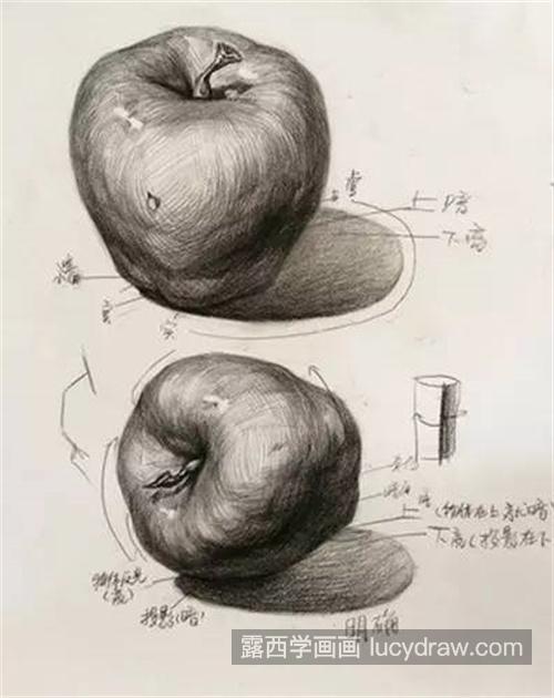 素描静物绘画步骤详解教程 新手如何临摹单个静物