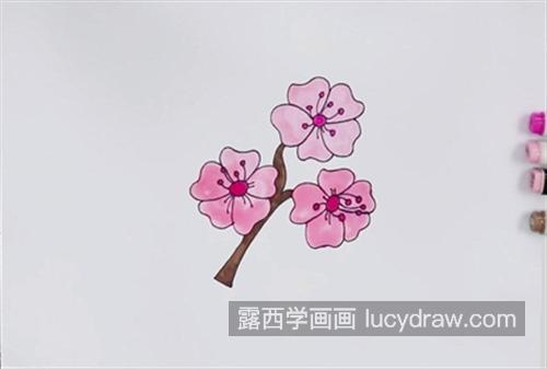樱花盛景简笔画图片