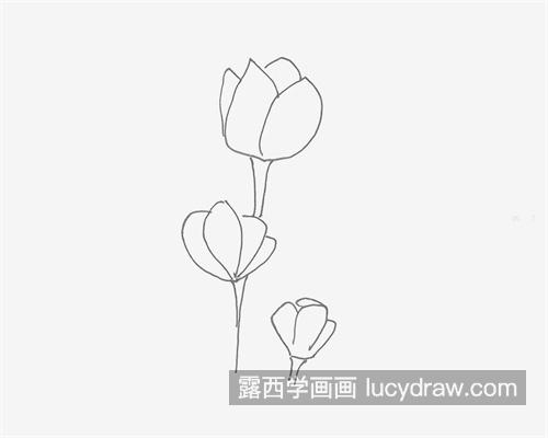 漂亮吸引人的玫瑰花简笔画怎么画 可爱漂亮的玫瑰花简笔画教程