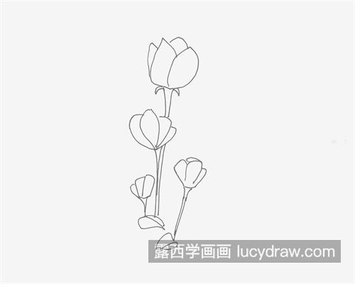 漂亮吸引人的玫瑰花简笔画怎么画 可爱漂亮的玫瑰花简笔画教程