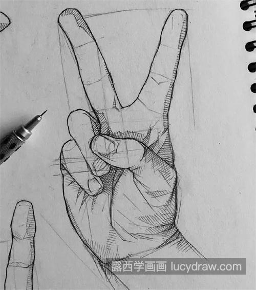 素描手部的新手教程 超适合小白学习的素描手部教程