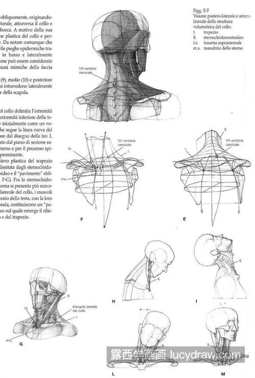 新手怎样学习素描人体 简单的素描人体教程