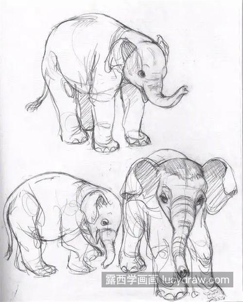 零基础怎样学习绘制素描动物 素描动物怎样画出质感